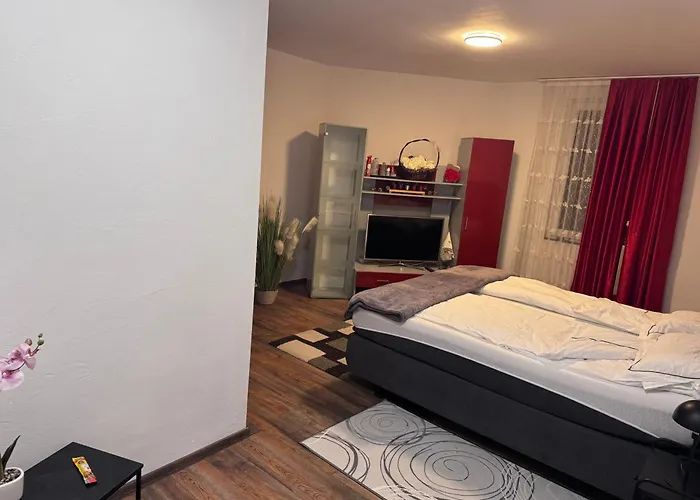 Danma Apartment-gemeinschaftskueche * Laubach (Rhineland-Palatinate)